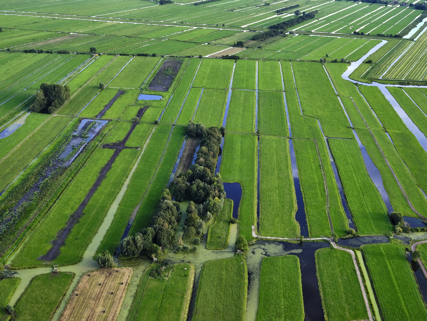 Peat meadow areas Stolwijk Krimpenerwaard 