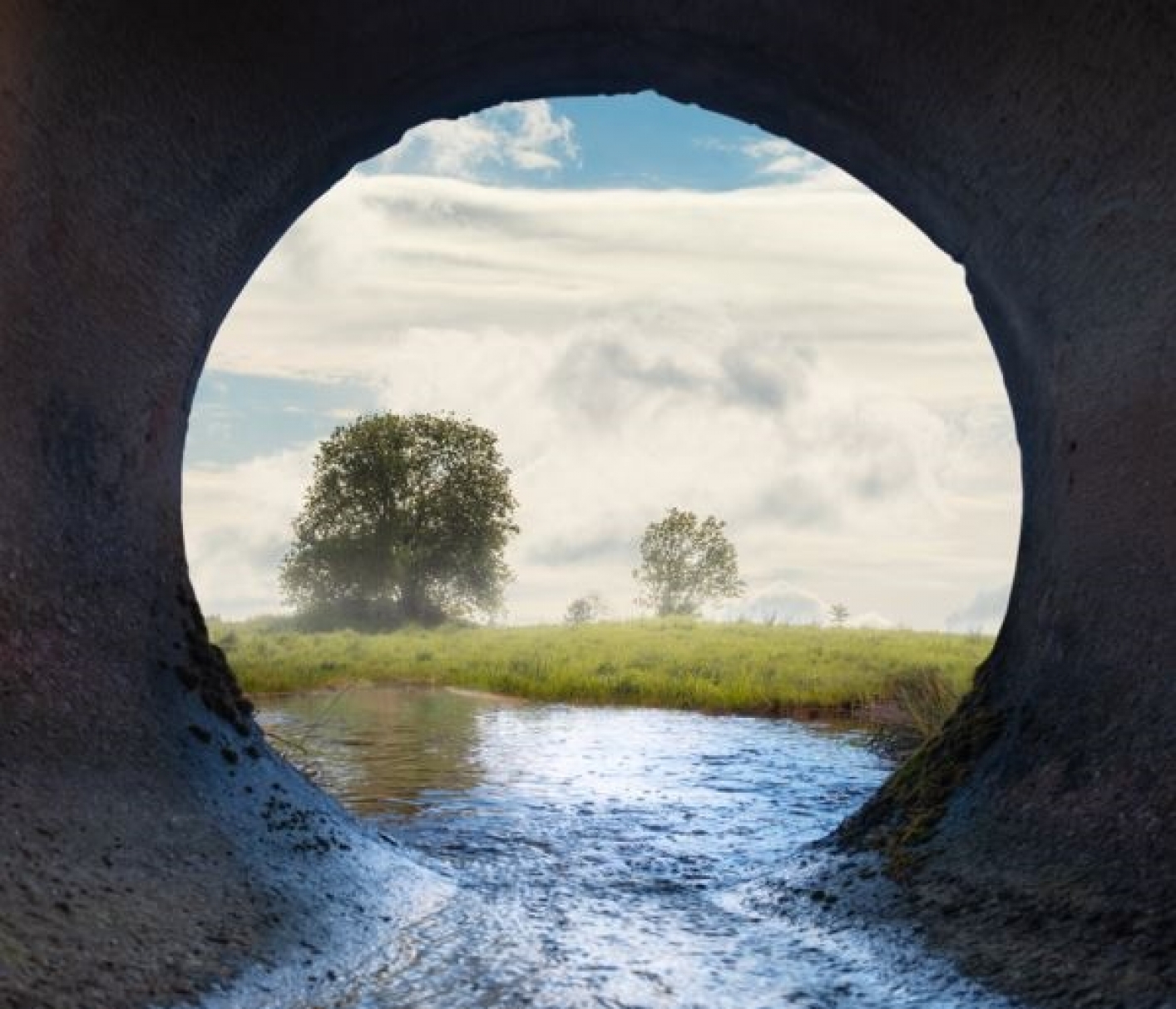 Vista of nature, seen through a water drainage pipe